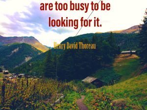 Success Usually Comes To Those Who Are Too Busy To Be Looking For It.