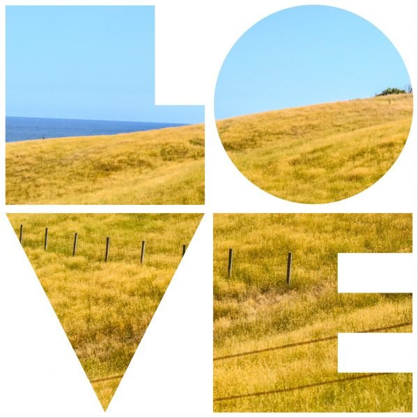 LOVE - Image 2