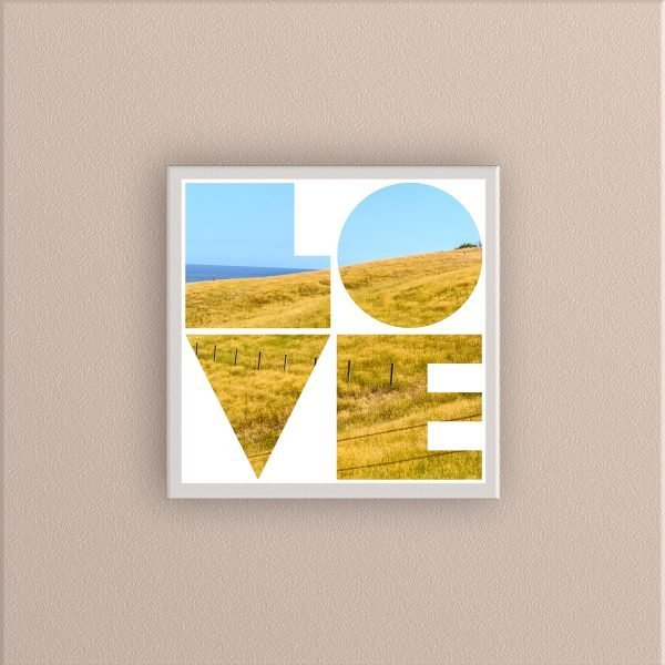 LOVE