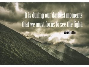It Is During Our Darkest Moments That We Must Focus To See The Light.
