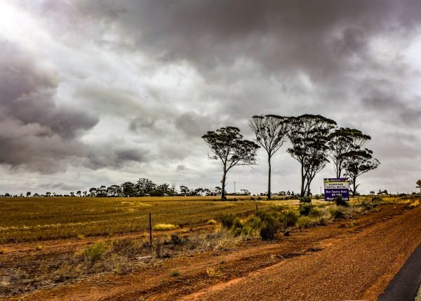 AUS-001 - Image 2