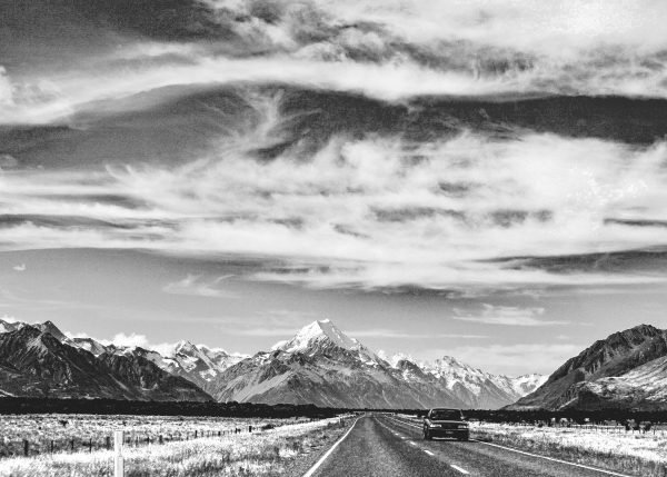NZ-001 - Image 2