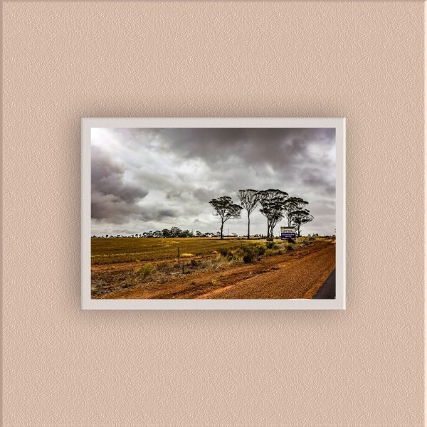 AUS-001 - Image 5