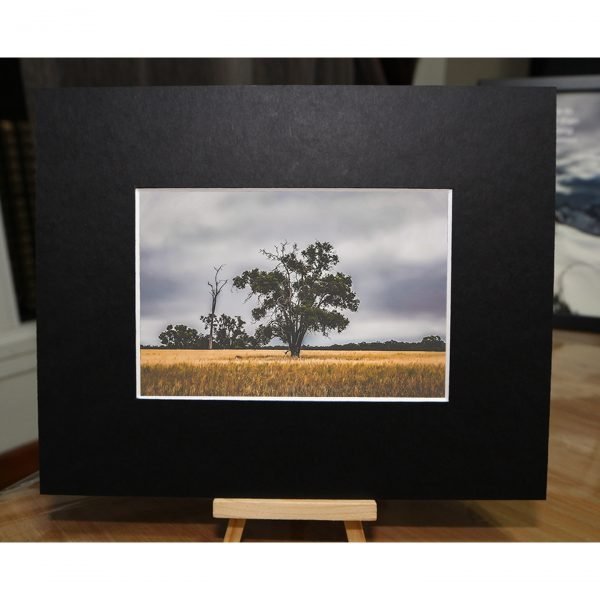 AUS-002 - Image 3