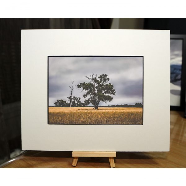 AUS-002 - Image 4
