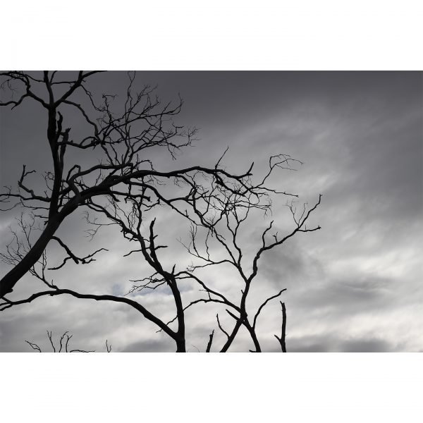 AUS-007 - Image 2