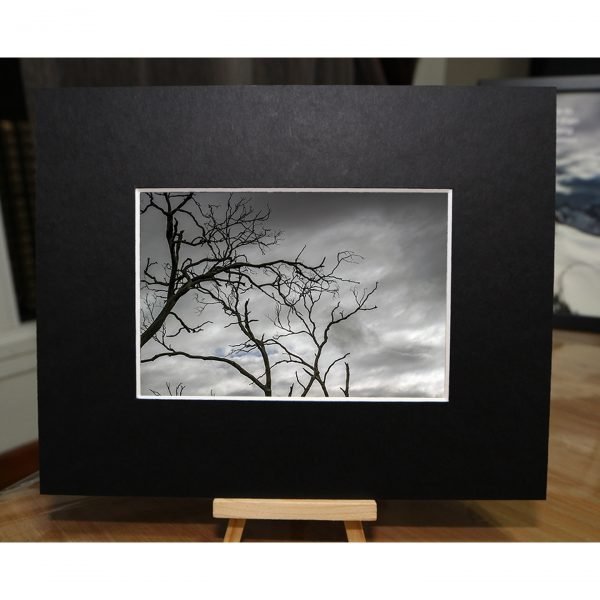 AUS-007 - Image 5