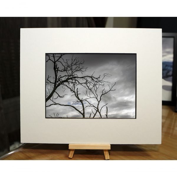 AUS-007 - Image 4