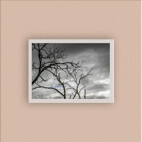 AUS-007 - Image 3