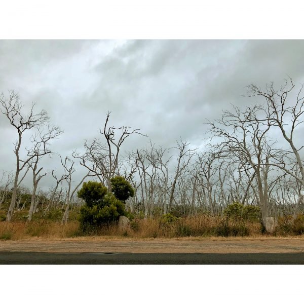 AUS-009 - Image 2