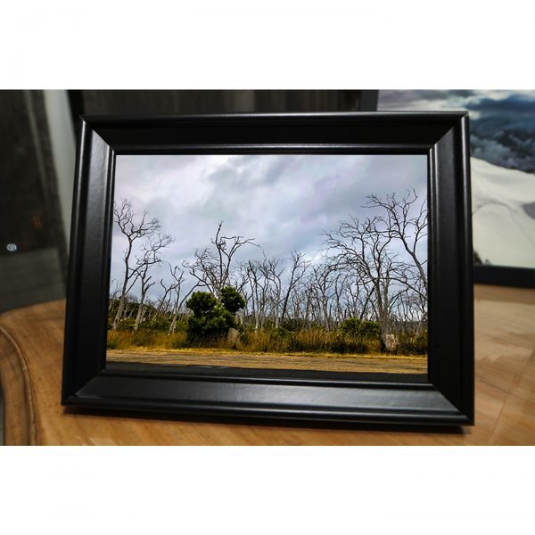 AUS-009 - Image 4