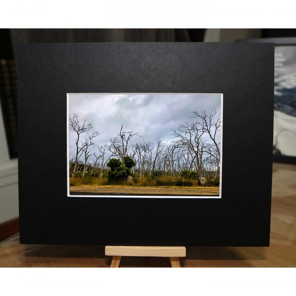 AUS-009 - Image 3
