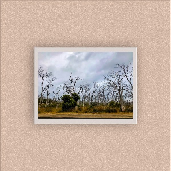 AUS-009 - Image 5