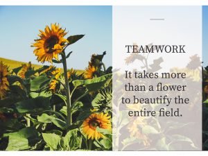 Teamwork: It Takes More Than A Flower To Beautify The Entire Field.