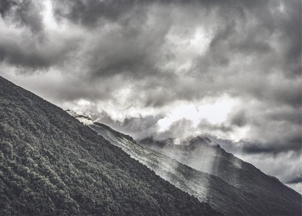 NZ-008 - Image 2