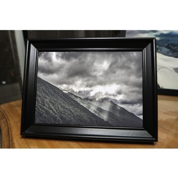 NZ-008 - Image 4