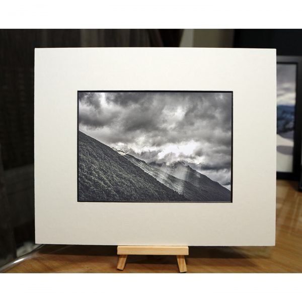NZ-008 - Image 3