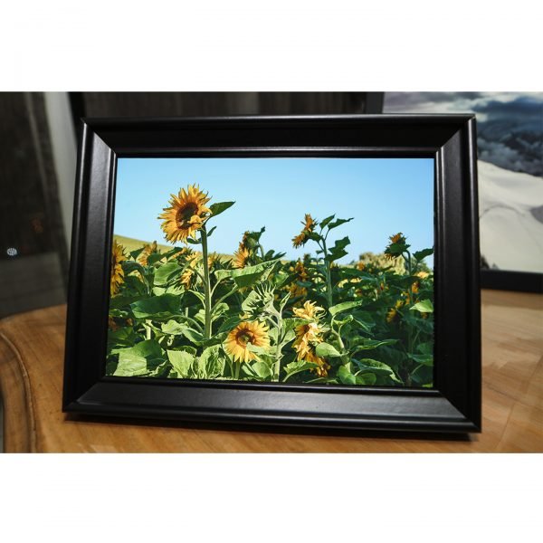 NZ-010 - Image 4